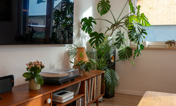 Projekt indywidualny na bazie projektu ERDOL 1 - Śląsk